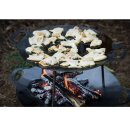 PETROMAX Grill- und Feuerschale fs38