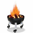Napoleon Apollo 22 Holzkohle Watersmoker