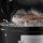 Napoleon Apollo 22 Holzkohle Watersmoker