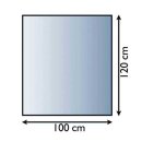 Lienbacher Glasbodenplatte 8 mm Rechteckig 100 x 120 cm