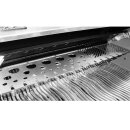 BBQ Multi Station für Napoleon Prestige PRO665